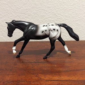 Peter Stone Horses Black Blanket Appaloosa